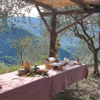Domenica a Bajardo la Camminata tra gli ulivi, visitatori alla scoperta della Taggiasca