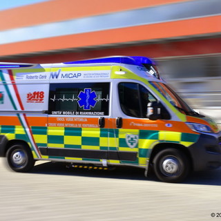 Ventimiglia: viene travolto dall'albero che stava tagliando, 69enne in gravi condizioni all'ospedale Ventimiglia: viene travolto dall'albero che stava tagliando, 69enne in gravi condizioni all'ospedale