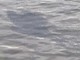 Ventimiglia, "grosse chiazze nere in mare": la segnalazione (Foto) Ventimiglia, "grosse chiazze nere in mare": la segnalazione (Foto)