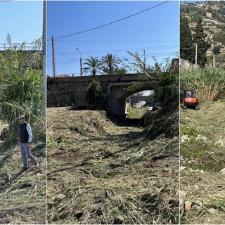 Pulizia annuale dei corsi d’acqua a Bordighera, Ingenito: "Lavori al torrente Sasso e al rio Cà Bianca" (Foto)