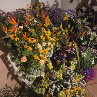 Due giorni di eventi, grande successo per "Carugi in Fiore" a Dolceacqua