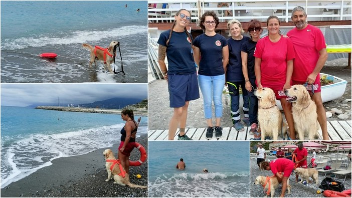Cani bagnino, nell'Imperiese Scott ed Elly salvano persone in difficoltà in acqua (Foto e video)
