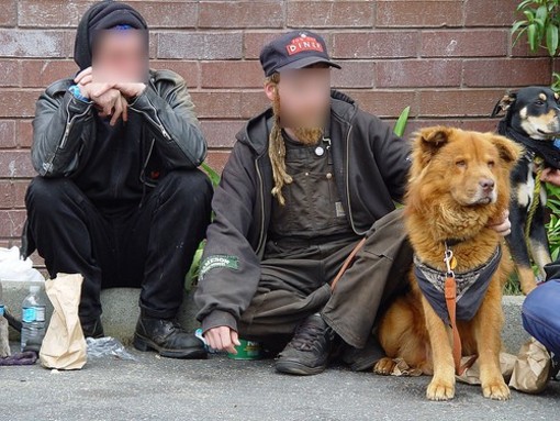 Ventimiglia: lettera della Lega del Cane ai Sindaci per i clochard che sfruttano gli animali Ventimiglia: lettera della Lega del Cane ai Sindaci per i clochard che sfruttano gli animali