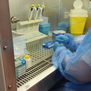 Coronavirus: anche oggi numeri in calo in regione e provincia, tasso di positività poco sopra il 7% Coronavirus: anche oggi numeri in calo in regione e provincia, tasso di positività poco sopra il 7%