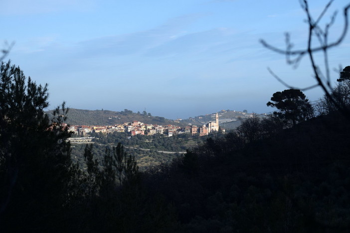 A Civezza appuntamento con l'evento 'Uliveti, erbe e degustazione con Natalino Trincheri' A Civezza appuntamento con l'evento 'Uliveti, erbe e degustazione con Natalino Trincheri'