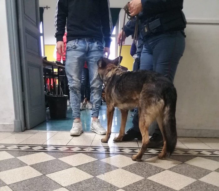 Operazione “Scuola Sicure”: agenti della Polizia al “Marconi” di Sanremo e al Nautico di Imperia (Foto) Operazione “Scuola Sicure”: agenti della Polizia al “Marconi” di Sanremo e al Nautico di Imperia (Foto)