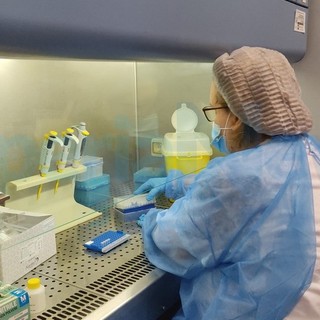 Coronavirus: numeri in aumento anche oggi, nella nostra provincia 75 nuovi contagi, crescono anche i ricoverati Coronavirus: numeri in aumento anche oggi, nella nostra provincia 75 nuovi contagi, crescono anche i ricoverati