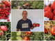 Piante innovative a Bordighera: nell’orto di un grande appassionato pomodori  e zucche che crescono senz’acqua (Foto)