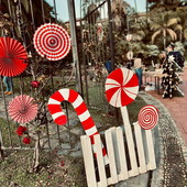 Sanremo, torna 'Cometa – Festa del Dono': quarta edizione al Parco di Villa Ormond Sanremo, torna 'Cometa – Festa del Dono': quarta edizione al Parco di Villa Ormond