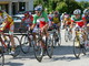 Ciclismo: domenica prossima la 3a prova del 'Trittico d'autunno' con il 'Memorial Dottor Pozzetti' Ciclismo: domenica prossima la 3a prova del 'Trittico d'autunno' con il 'Memorial Dottor Pozzetti'