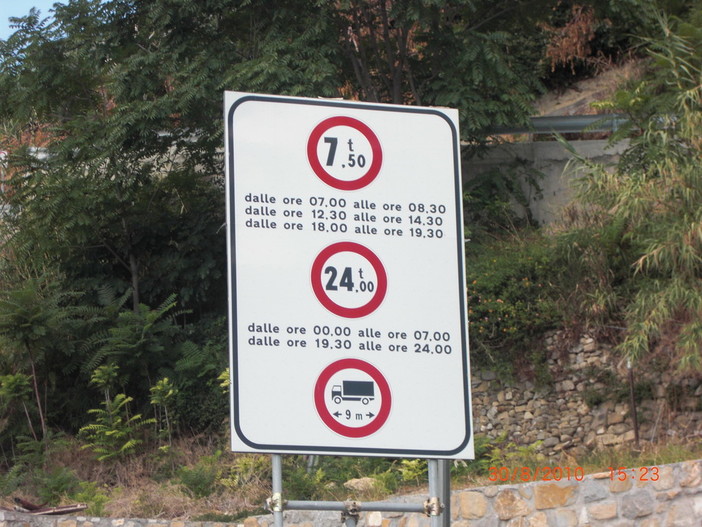 Strada provinciale per Castellaro: la segnalazione dei soliti 'quattro gatti'