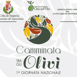 Imperia: domenica prossima la prima giornata nazionale della Camminata fra gli ulivi