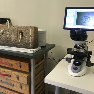 Ventimiglia: scuola aperta oggi agli studenti delle Secondarie per conoscere il Corso Geometri–CAT