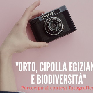 Un concorso fotografico on line su orto, cipolla egiziana e biodiversità: lo ha organizzato Marco Damele