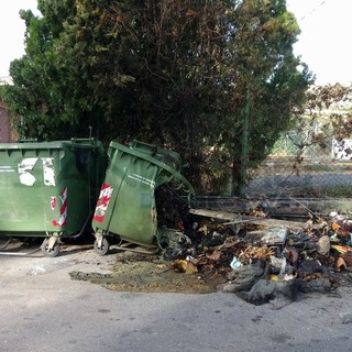 Il cassonetto distrutto dalle fiamme