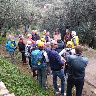 Imperia: ottima iniziativa ieri durante 'Olioliva' per la 'Camminata a Costa d'Oneglia' (Foto)