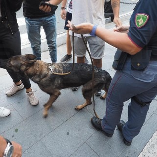 Progetto ‘Scuole Sicure’: agenti di Polizia e cinofili insieme nelle scuole della nostra provincia, ieri un doppio intervento