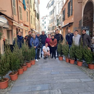 Sanremo: concorso di abeti nel centro storico cittadino