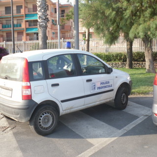 Bordighera: cinghiale ritrovato al San Marco Beach, le domande di un nostro lettore