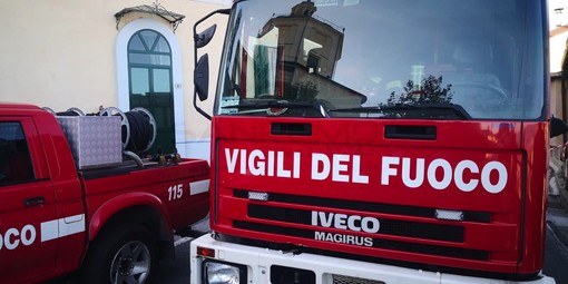 Sanremo: gattino salvato dai Vigili del Fuoco ieri a San Martino, i ringraziamenti di una nostra lettrice