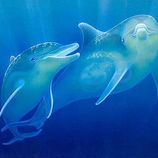 Genova: nel pomeriggio a Palazzo Ducale si riunisce il comitato scientifico del Santuario dei Cetacei