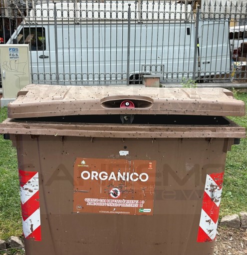 Ventimiglia, l’appello degli ambulanti: "Odori e insetti vicino ai giardini, situazione ormai difficile da sopportare" Ventimiglia, l’appello degli ambulanti: "Odori e insetti vicino ai giardini, situazione ormai difficile da sopportare"