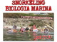 Imperia: a luglio ed agosto con il CEA una serie di corsi di 'snorkeling' alla spiaggia 'La Foce'