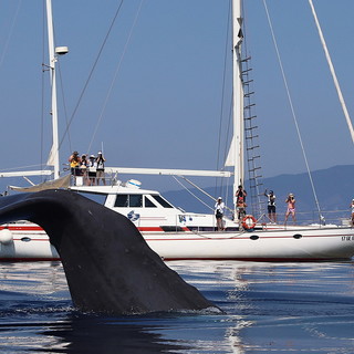 Convegno 'Tra terra e mare': paesaggio costiero e mobilità sostenibile nel Ponente ligure