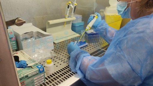 Coronavirus: numeri sempre molto bassi nell'ultima settimana nel Principato di Monaco