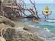 Ventimiglia: crolla un grosso pino su una spiaggetta di Latte, lievemente ferita una donna di 45 anni (Foto)