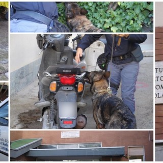 Oggi serie di controlli della Polizia e dei Carabinieri nell'ambito dell'operazione 'Scuole Sicure', i risultati Oggi serie di controlli della Polizia e dei Carabinieri nell'ambito dell'operazione 'Scuole Sicure', i risultati