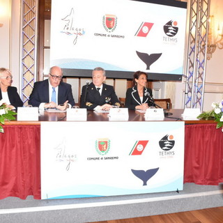 Sanremo: riprende la campagna 'Cetacei, FAI attenzione!', firmato protocollo d'intesa Tethys-Guardia Costiera (Foto e Video)