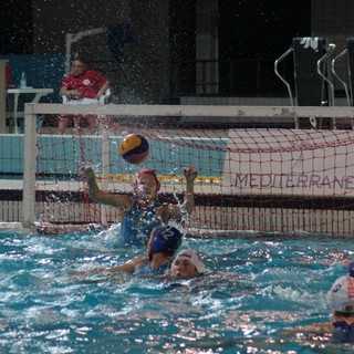 Pallanuoto: sabato prossimo impegno esterno a Bologna per la Mediterranea Imperia