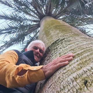 Oltre la bellezza: da Claudio Littardi storie e riflessioni sull'anima delle palme tra mistero e tradizione
