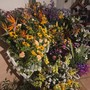 Due giorni di eventi, grande successo per "Carugi in Fiore" a Dolceacqua