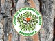 “L’unione fa la forza”, il Comitato Spontaneo del Verde Bordighera promuove una sezione di Italia Nostra nel Ponente
