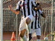 Calcio: nel campionato di Eccellenza, vittoria dell'Argentina sul Casarza Ligure Calcio: nel campionato di Eccellenza, vittoria dell'Argentina sul Casarza Ligure