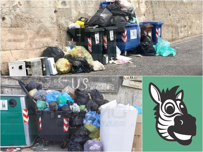 Sanremo: la app ‘Junker’ può essere l’asso nella manica contro i disservizi nella raccolta rifiuti, a Roma un caso destinato a fare scuola Sanremo: la app ‘Junker’ può essere l’asso nella manica contro i disservizi nella raccolta rifiuti, a Roma un caso destinato a fare scuola