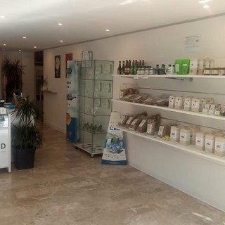 Desideri iniziare a coltivare Cannabis Light? Canapaland ti offre piantine certificate di alta qualità e consulenza tecnica e agronomica