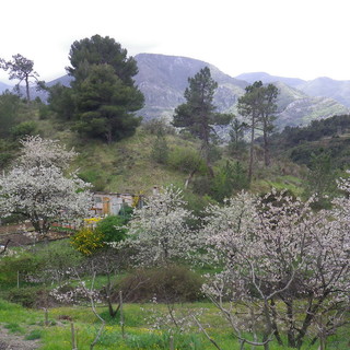 Ventimiglia: domenica escursione per beneficenza alla scoperta del Monte Grazian