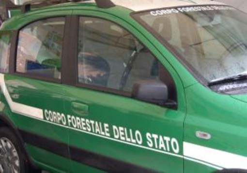 Ventimiglia: un agente in convalescenza ed uno in ferie, chiuso l'ufficio del Corpo Forestale dello Stato