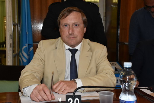 Il consigliere Andrea Artioli