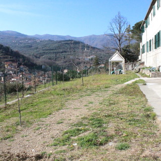 Borgomaro: la testimonianza di Stefano Sciandra "Finalmente possiamo colloquiare con gli ospiti della 'Orengo Demora'"