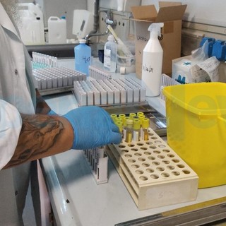 Covid in Liguria: 51 nuovi positivi in provincia di Imperia, un decesso in tutta la regione Covid in Liguria: 51 nuovi positivi in provincia di Imperia, un decesso in tutta la regione