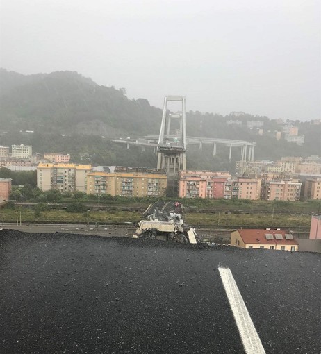 Imperia, il drammatico crollo del ponte 'Morandi' si ripercuote sul ponente: "Servirà una soluzione alternativa" Imperia, il drammatico crollo del ponte 'Morandi' si ripercuote sul ponente: "Servirà una soluzione alternativa"