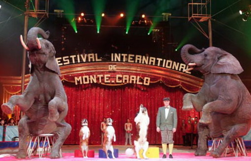 Sabato 19 gennaio a Nizza una manifestazione di protesta contro l'uso degli animali al Festival del Circo di Montecarlo