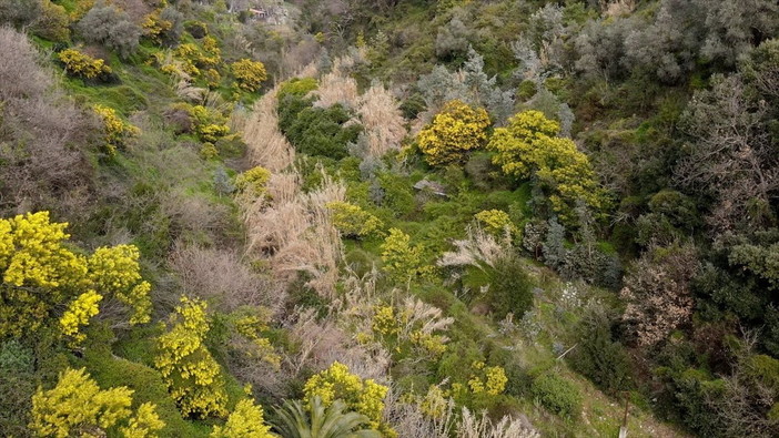 Oggi nella trasmissione 'Geo &amp; Geo' di Rai 3 il documentario del bordigotto Andrea Alborno