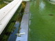 Sanremo: lettrice segnala (con foto) l'acqua stagnante ai giardini di Villa Ormond Sanremo: lettrice segnala (con foto) l'acqua stagnante ai giardini di Villa Ormond