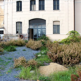 Imperia: parcheggio tribunale, topo in mensa e abbandono della banchina Anselmi nei Qt del Consigliere Casano