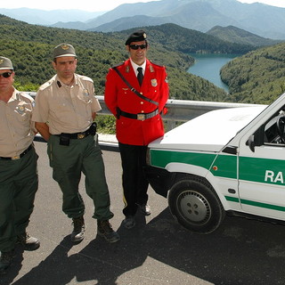 Sanremo: i Rangers spostano sciame di vespe a Borello
